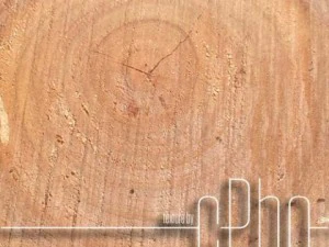 texture 6 pack  sawn grain wood 01 CG Textures