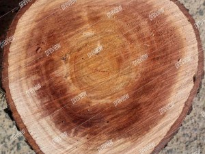 texture 6 pack  sawn grain wood 01 CG テクスチャ