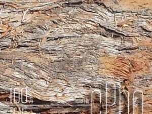 texture 4 pack  bark stringy 01 CG Текстури