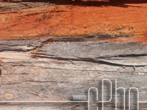 texture 4 pack  bark stringy 01 CG Текстури
