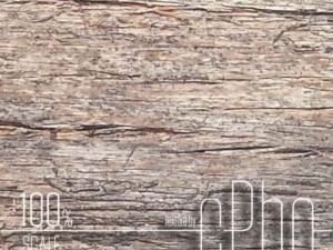 texture 4 pack  bark stringy 01 CG Текстури