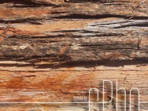 texture 4 pack  bark stringy 01 CG Текстури