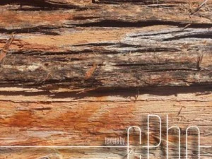 texture 4 pack  bark stringy 01 CG Textures