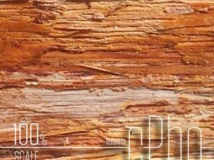 texture 4 pack  bark stringy 01 CG Текстури