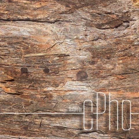 texture  bark stringy 01a CG 텍스쳐 .c4d .max .obj .3ds .fbx .stl .blend 