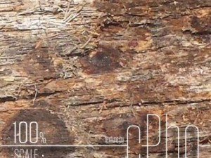 texture  bark stringy 01a CG 텍스쳐