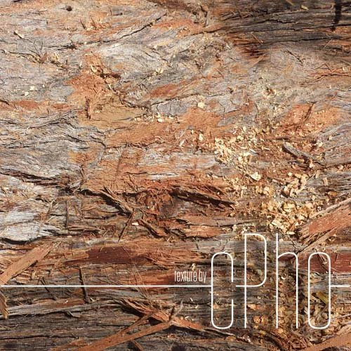 texture  bark stringy 01b CG Textures .c4d .max .obj .3ds .fbx .stl .blend 