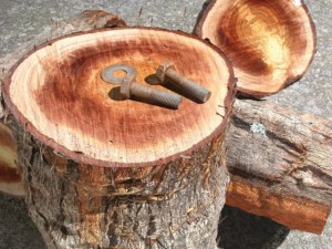 texture  sawn wood grain 01b CG 텍스쳐