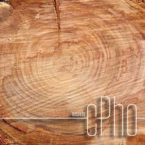 texture  sawn wood grain 01c CG Textures .c4d .max .obj .3ds .fbx .stl .blend 