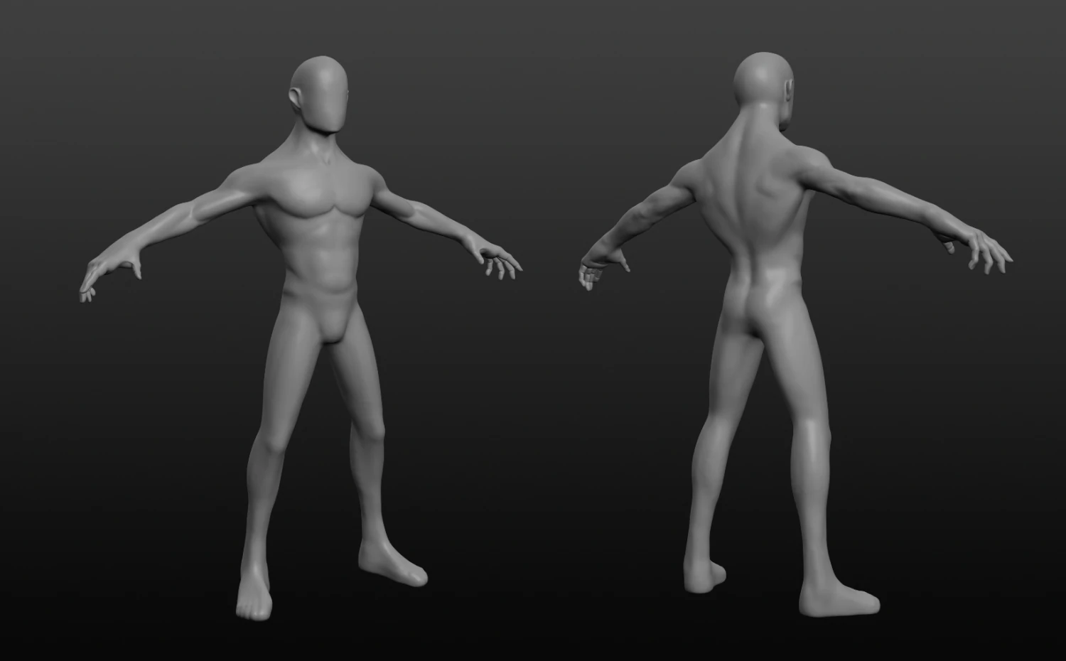 human base body 3D Model .c4d .max .obj .3ds .fbx .stl .blend 