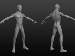 human base body Modèle 3D