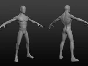 human base body 3D Model