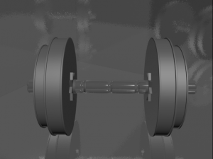 professional sports dumbbells 3D Model