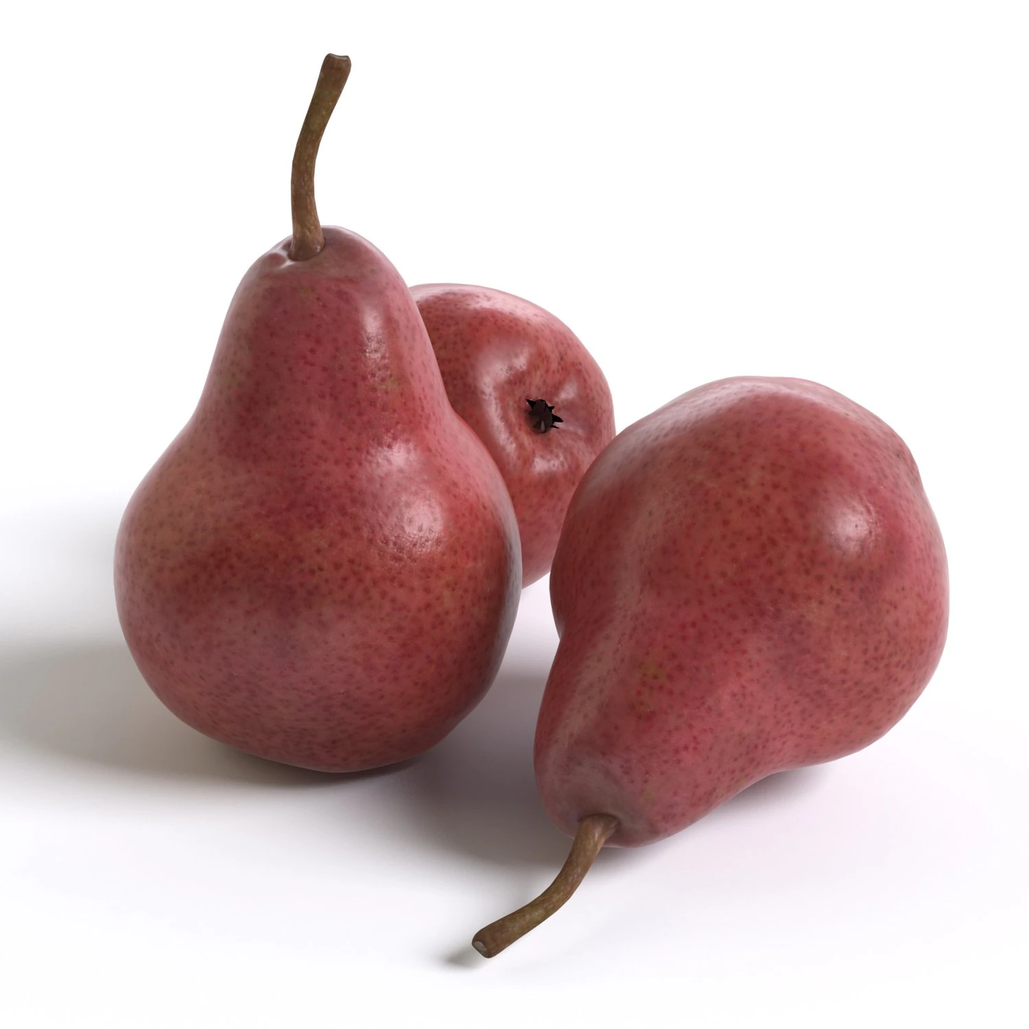 red pears 3D Model .c4d .max .obj .3ds .fbx .stl .blend 