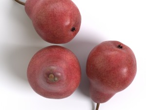 red pears 3Dモデル