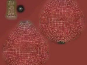 red pears 3D Model