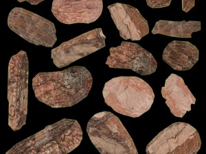 mulch of pine bark 3D Model