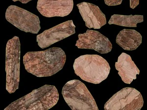 mulch of pine bark 3D Model