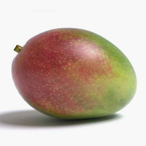 mango 3D मॉडल .c4d .max .obj .3ds .fbx .stl .blend 