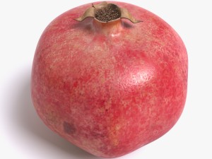pomegranate Modelo 3D