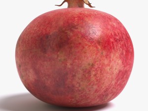 pomegranate Modelo 3D