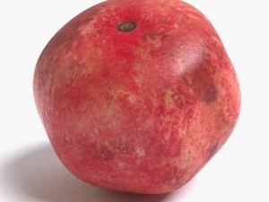 rom&atilde; Modelo 3D