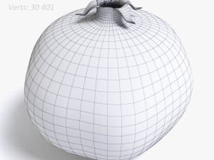 pomegranate Modelo 3D