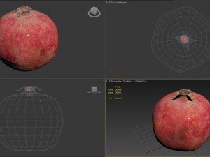 pomegranate Modelo 3D