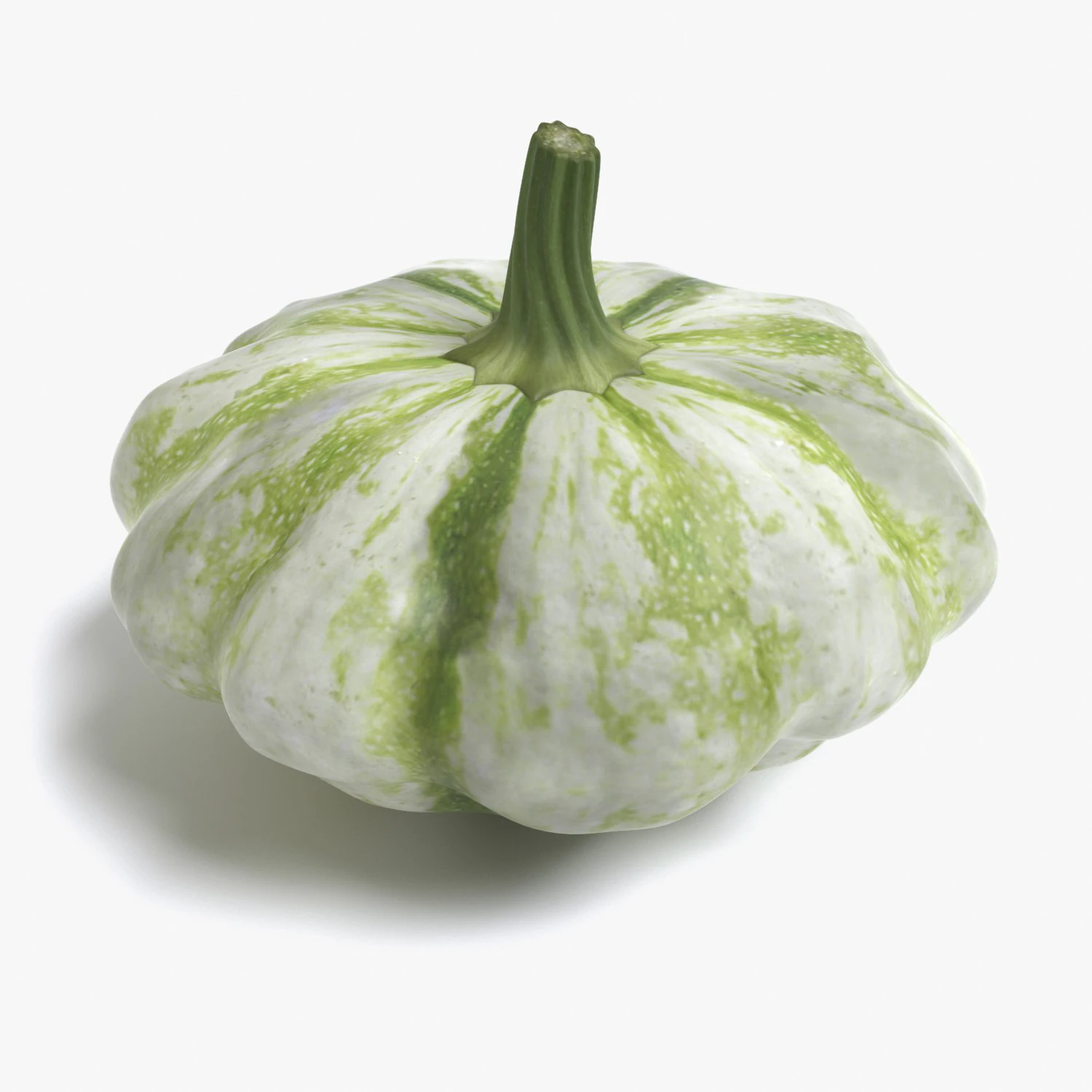 squash 3D Model .c4d .max .obj .3ds .fbx .stl .blend 