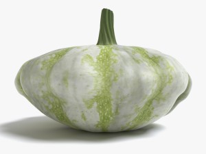 squash 3Dモデル