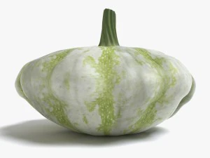 squash 3D Model