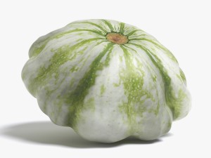squash 3Dモデル