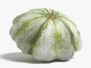 squash 3D Model