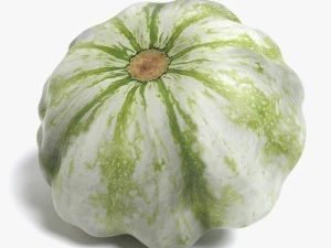 squash 3D Model
