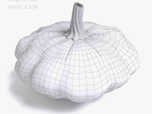 squash 3Dモデル
