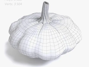 squash 3D Model