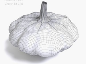 squash 3Dモデル