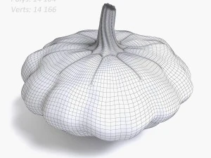 squash 3D Model