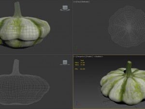 squash 3Dモデル