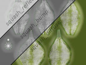 squash 3D Model