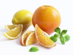 citrus Modello 3D