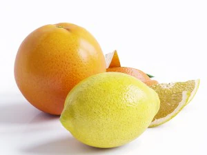 citrus 3D Model