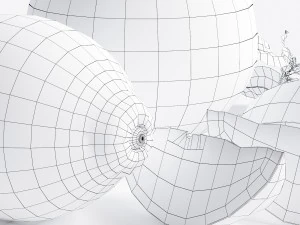 citrus 3D Model