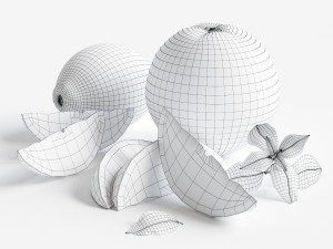 citrus 3D-Modell
