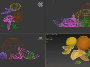 citrus 3D Model