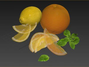 citrus 3D Model