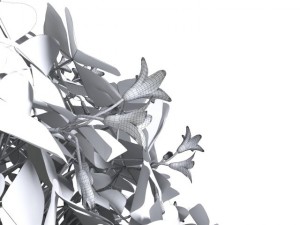 oxalis triangularis 3D Model