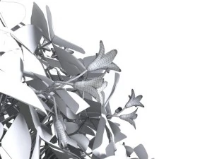 oxalis triangularis 3D Model
