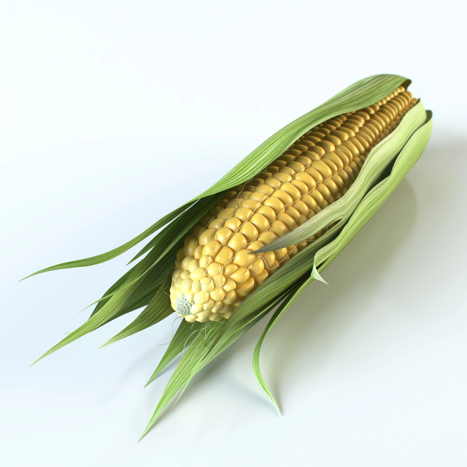 corn 3D Model .c4d .max .obj .3ds .fbx .stl .blend 