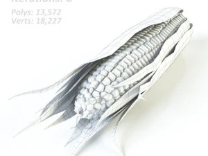 corn 3D Model
